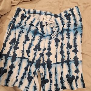 Disneyland Disney Mickey Blue Shorts